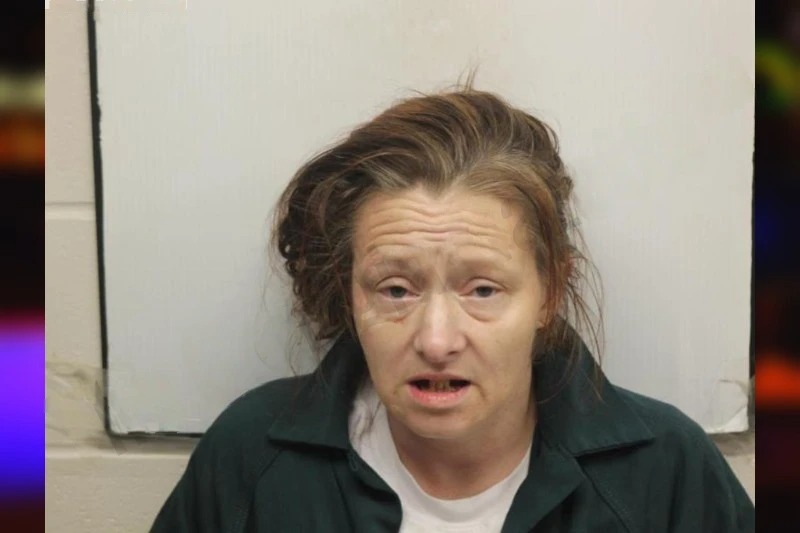 Christina Webster mugshot – Chatham County , Georgia Christina Webster mugshot