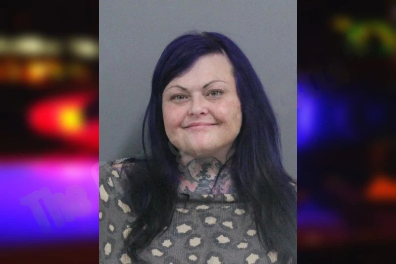 Christine Millraney mugshot – Catoosa County , Georgia Christine Millraney mugshot