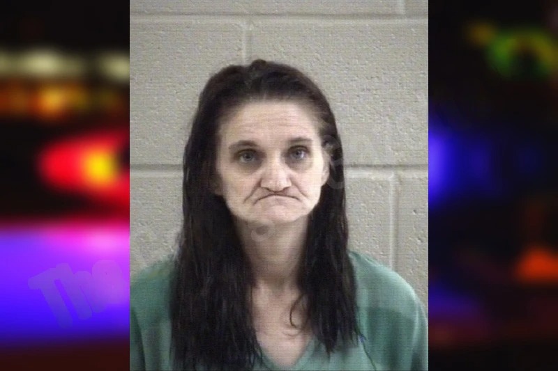 Christy Tiffin Mugshots