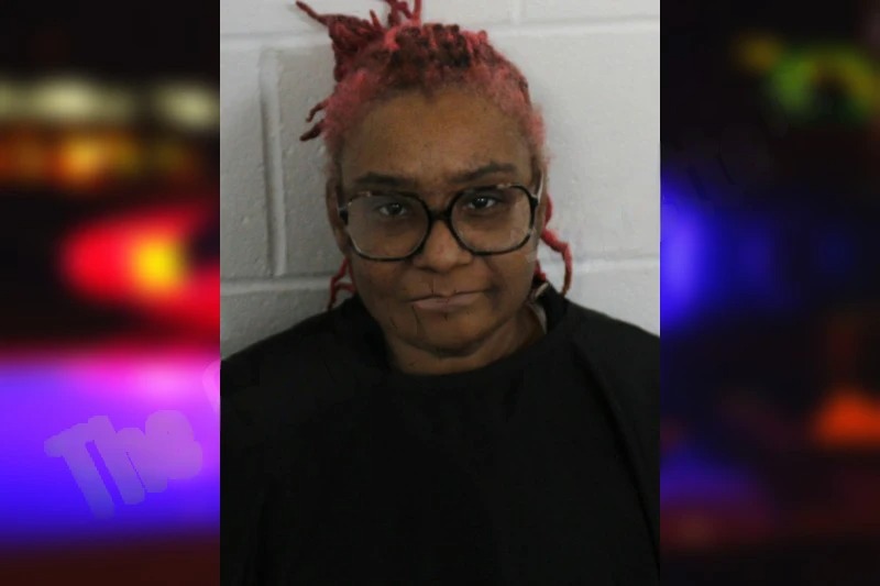 Cindy Rittenberry mugshot