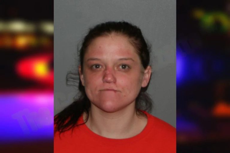 Clarissa Slawter mugshot – Cherokee County , Georgia Clarissa Slawter