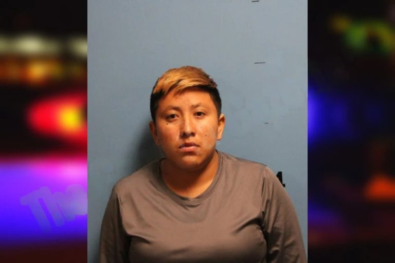 Claudia Cambar Palmar mugshot – Monroe County , Georgia Claudia Cambar Palmar