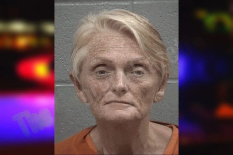 Collette Berg mugshot – Columbia County , Georgia Collette Berg