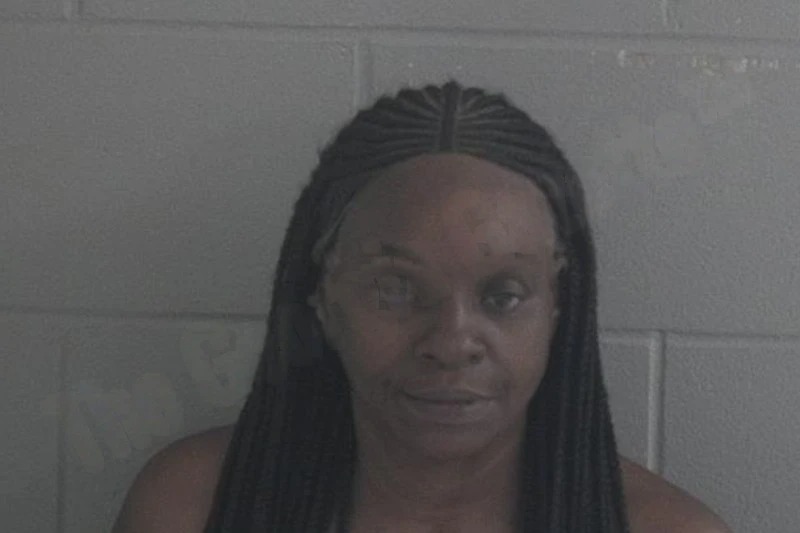 Connese Medlock Mugshots