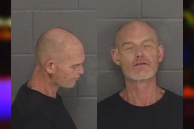 Connie Breshers mugshot – Barrow County , Georgia Connie Breshers