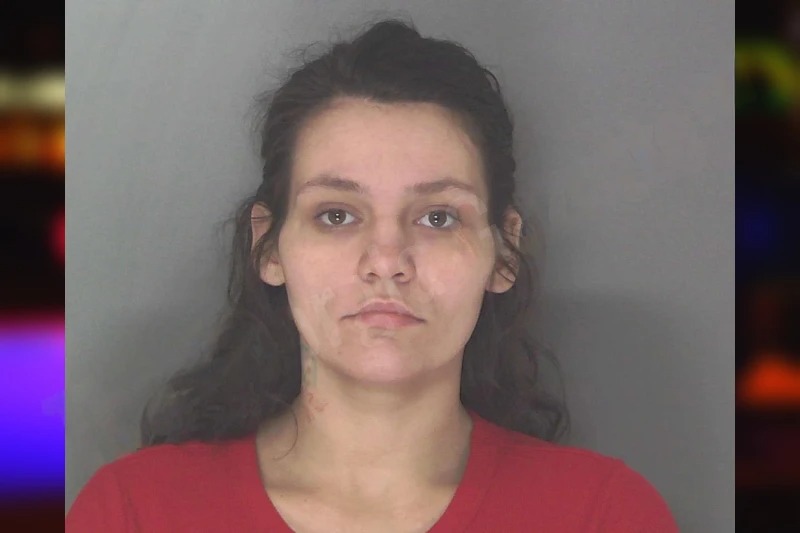 Connie Bryan mugshot – Douglas County , Georgia Connie Bryan mugshot