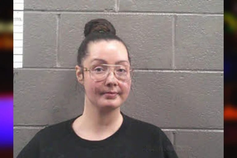 Courtney Chesser mugshot – Banks County , Georgia Courtney Chesser