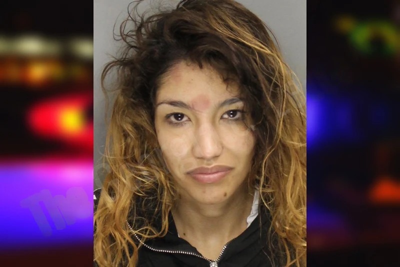 Cristal Bermudez Mugshots
