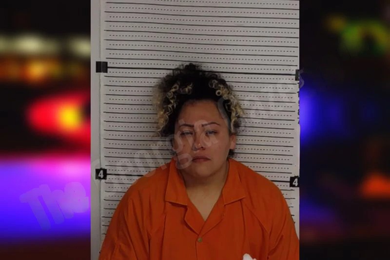 Cristina Deleon mugshot – Rockdale County , Georgia Cristina Deleon mugshot