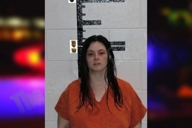 Cristy Fowler mugshot – Murray County , Georgia Cristy Fowler