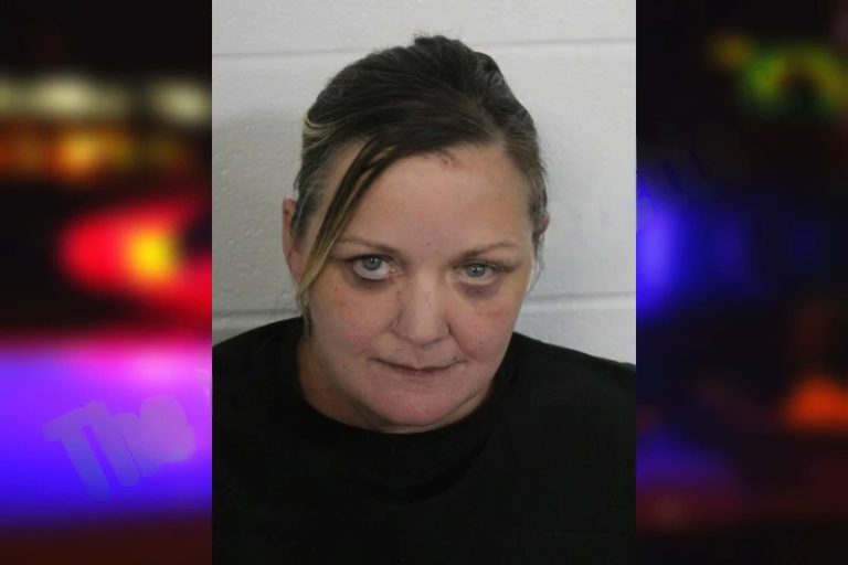 Crystal Battaglia mugshot – Floyd County , Georgia Crystal Battaglia