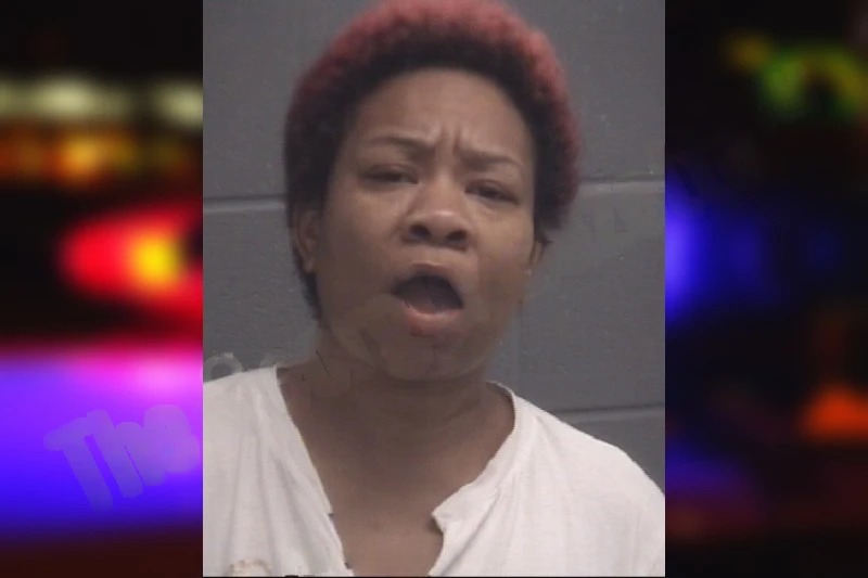 Crystal Evans mugshot