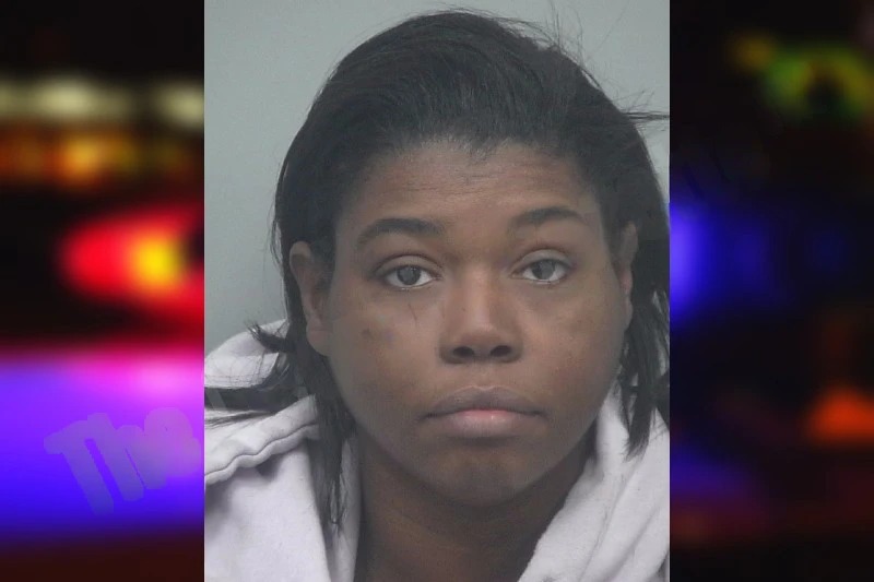 Crystal Kitsmiller mugshot – Gwinnett County , Georgia Crystal Kitsmiller mugshot