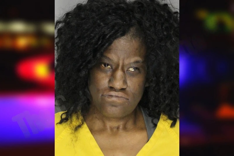 Crystal Phillips mugshot