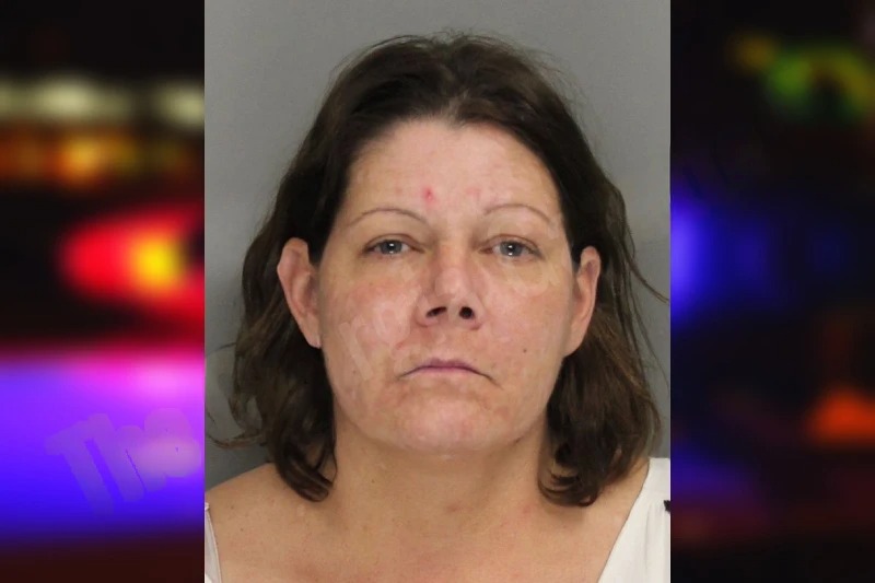 Crystal Swails mugshot – Cobb County , Georgia Crystal Swails mugshot