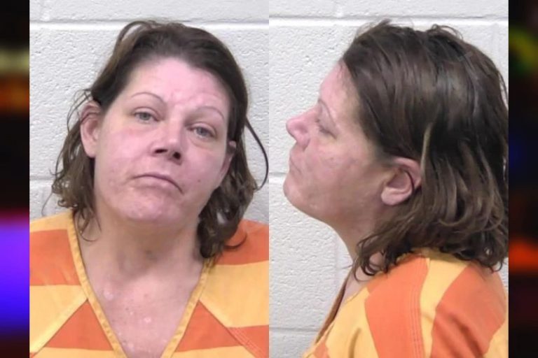 Crystal Swails mugshot – Paulding County , Georgia Crystal Swails