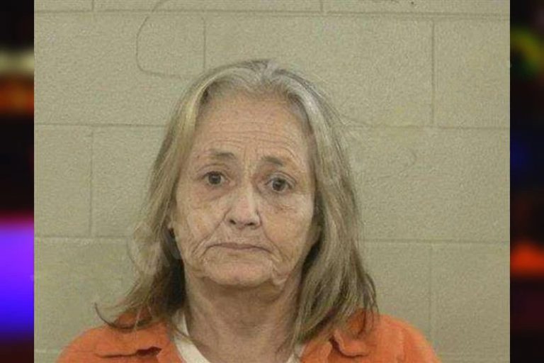 Cynthia Drew mugshot – Liberty County , Georgia Cynthia Drew