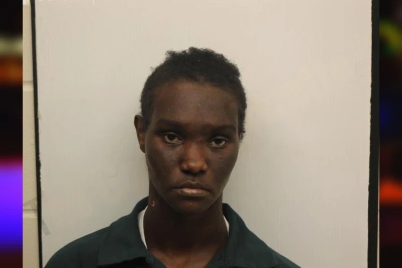 Cynthia Hampton mugshot – Chatham County , Georgia Cynthia Hampton mugshot