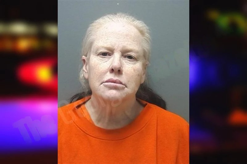 Cynthia Honholt mugshot