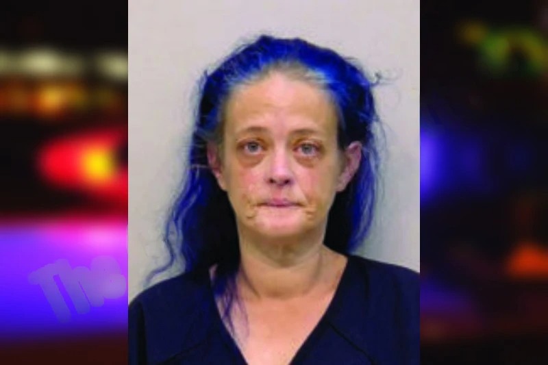 Cynthia Langley Mugshots