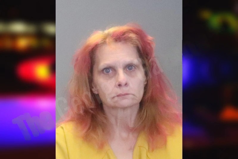 Cynthia Trefren mugshot