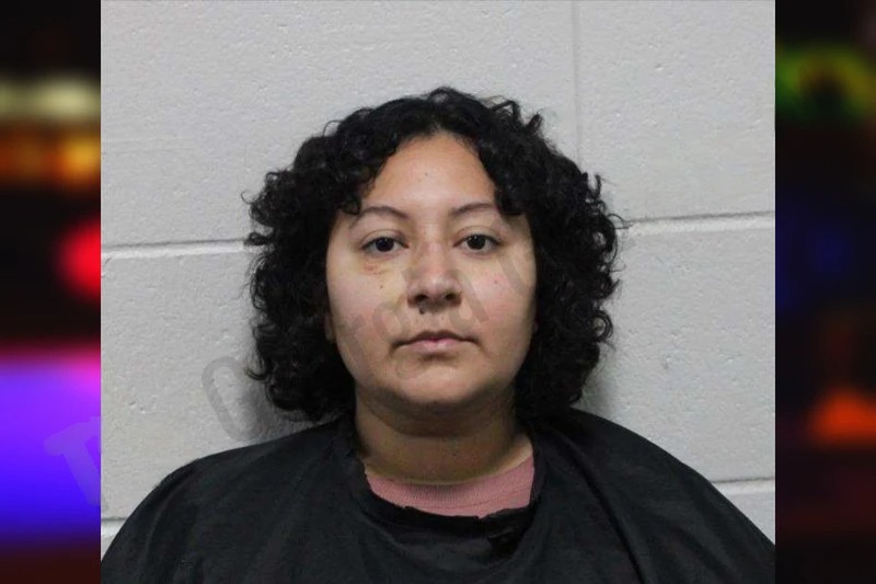 Daisy Hernandez mugshot