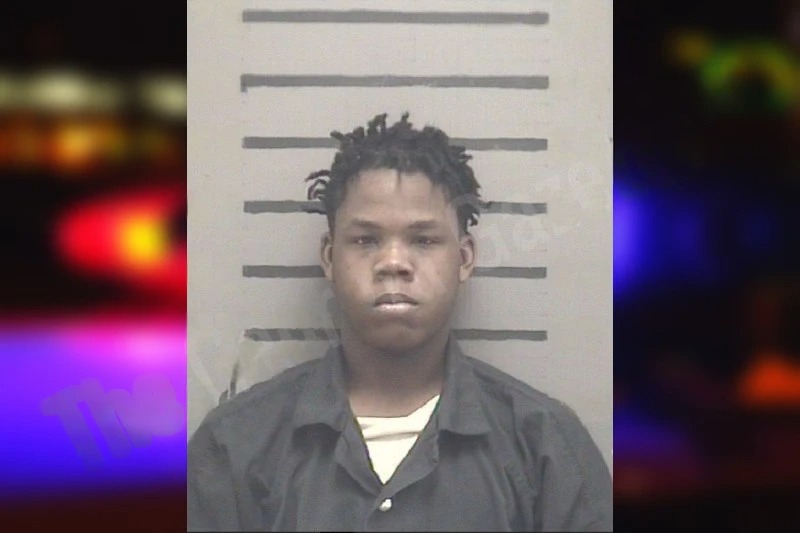 Damarion Mills mugshot – Dougherty County , Georgia Damarion Mills mugshot