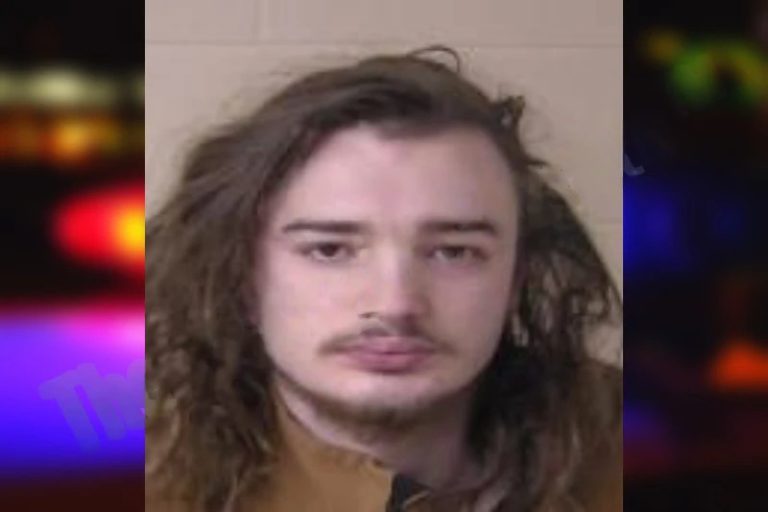 Damion Roberson mugshot – Wayne County , Georgia Damion Roberson