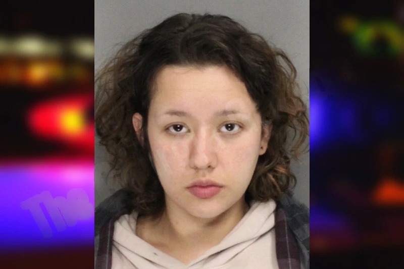 Dana Eaton mugshot – Cobb County , Georgia Dana Eaton mugshot