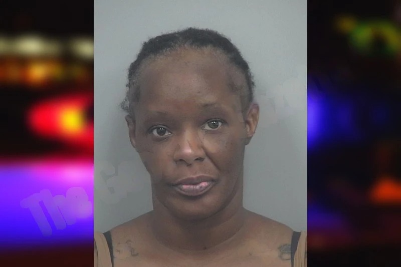 Dana Parker mugshot – Gwinnett County , Georgia Dana Parker mugshot