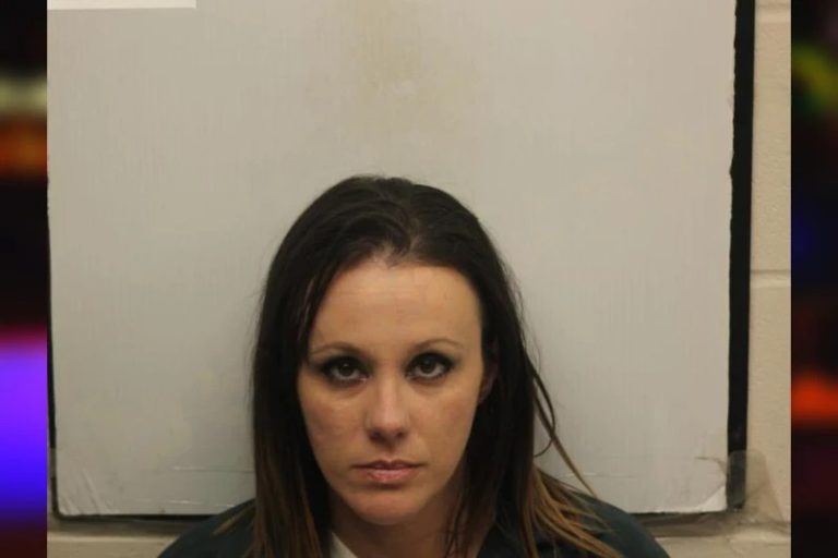 Dana Piazza mugshot – Bibb County , Georgia Dana Piazza