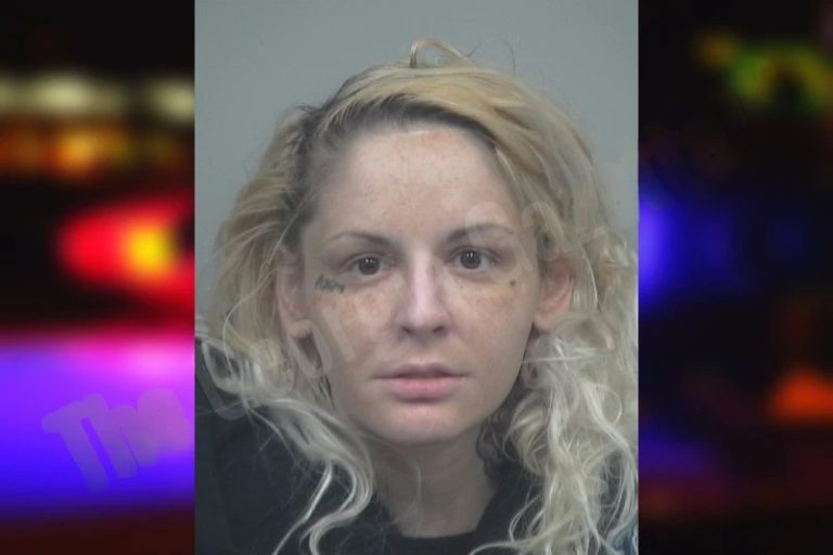 Dana Prainito mugshot – Chatham County , Georgia Dana Prainito