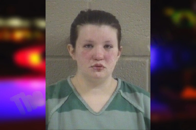 Danielle Hernandez Mugshots