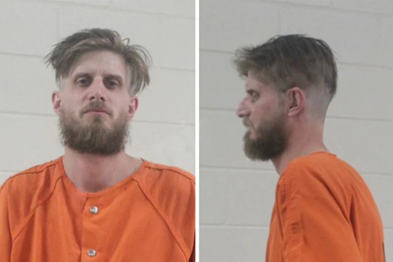 Dannie White Mugshots