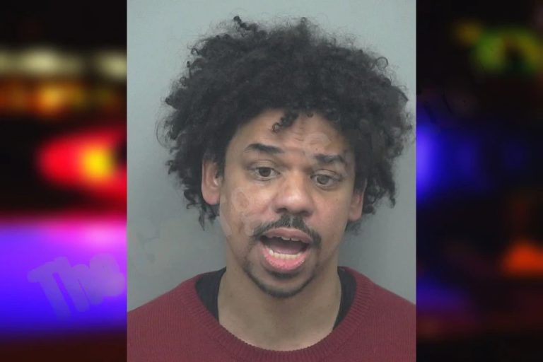 Darce Stelly mugshot – Whitfield County , Georgia Darce Stelly