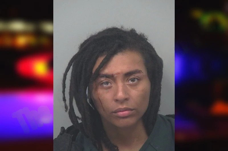 Darian Durrett mugshot – Gwinnett County , Georgia Darian Durrett mugshot