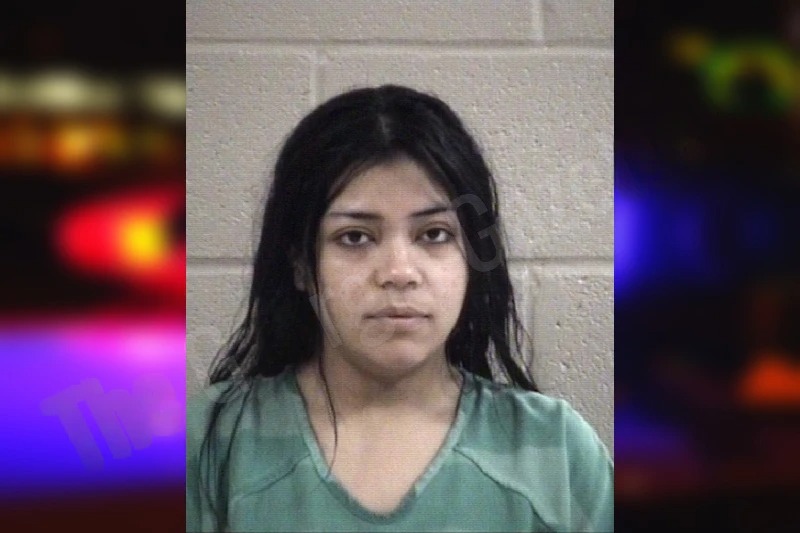 Dariana Mendenhall mugshot – Whitfield County , Georgia Dariana Mendenhall mugshot