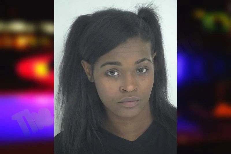 Darielle Jamerson Mugshots