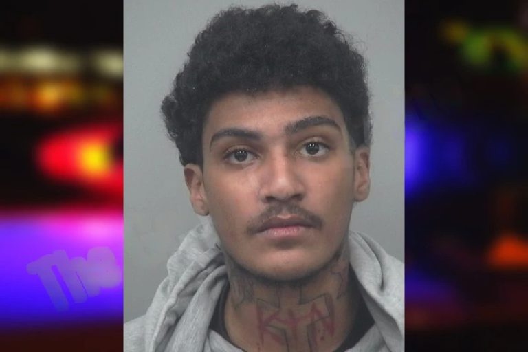 Daryush Dana mugshot – Gwinnett County , Georgia Daryush Dana