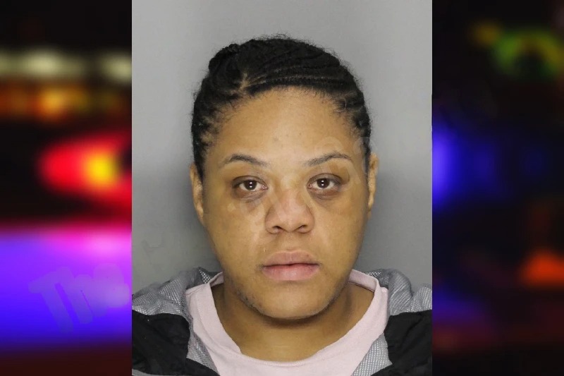 Dasja Barnes mugshot – Cobb County , Georgia Dasja Barnes mugshot