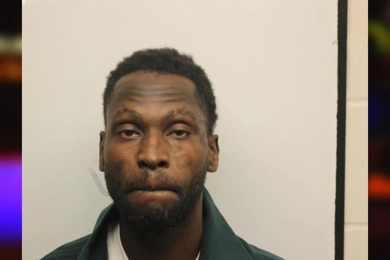 Dawonna Nelson Mugshots