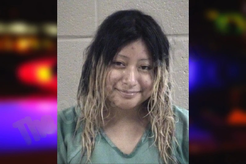 Dayana Diego Mugshots