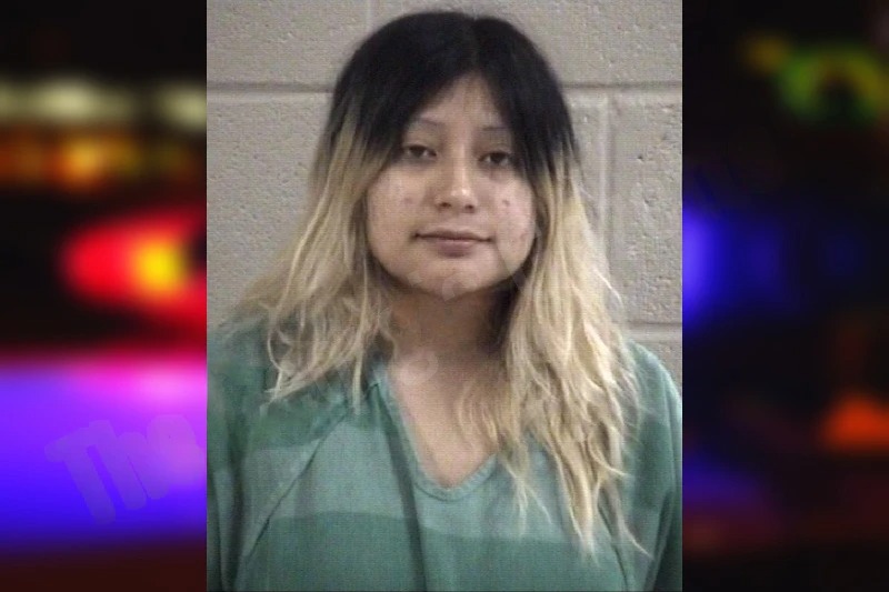 Dayana Diego mugshot