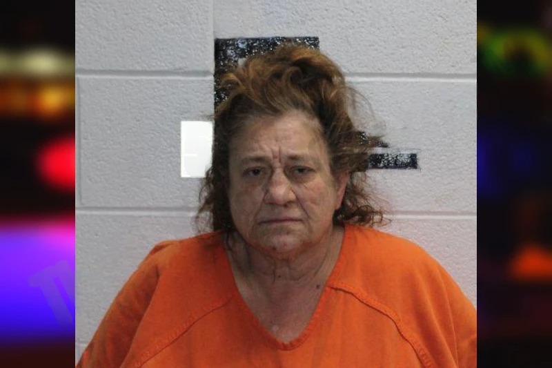 Deana Blankenship mugshot
