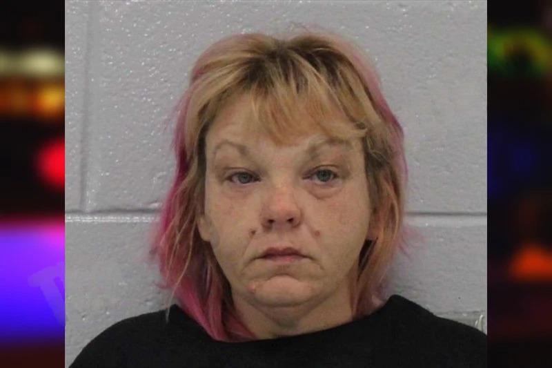 Debbie Chase Mugshots