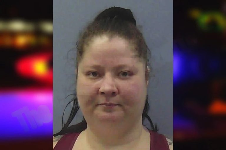 Deborah Austin mugshot – Chattooga County , Georgia Deborah Austin