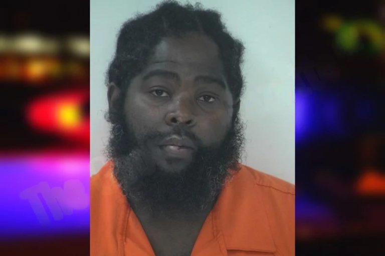 Decky Holloway mugshot – Fayette County , Georgia Decky Holloway