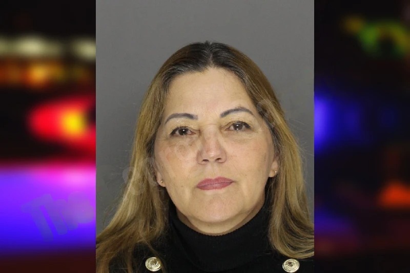 Deivilene Freitas mugshot