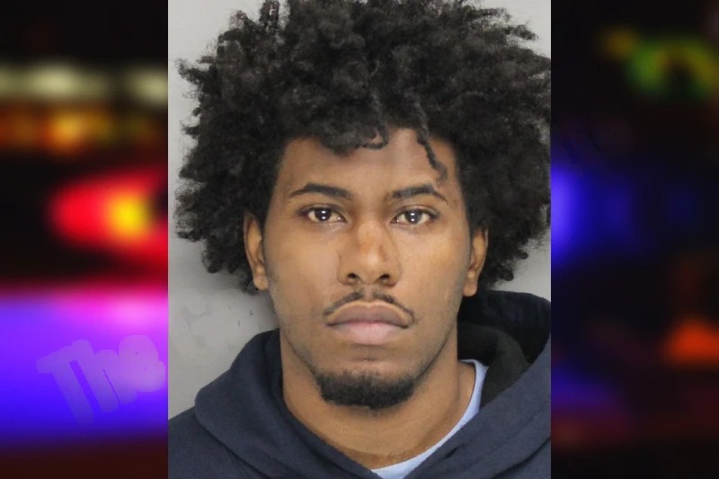 Delani Johnson Mugshots