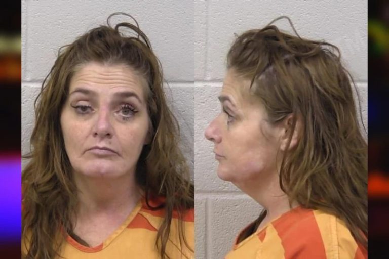 Delena Duffy mugshot – Paulding County , Georgia Delena Duffy